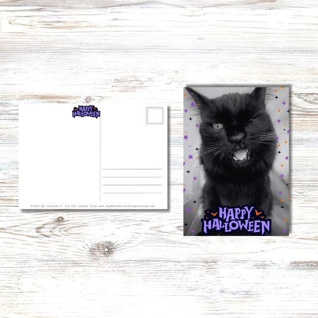 Halloween Hugo Postcards, set of2