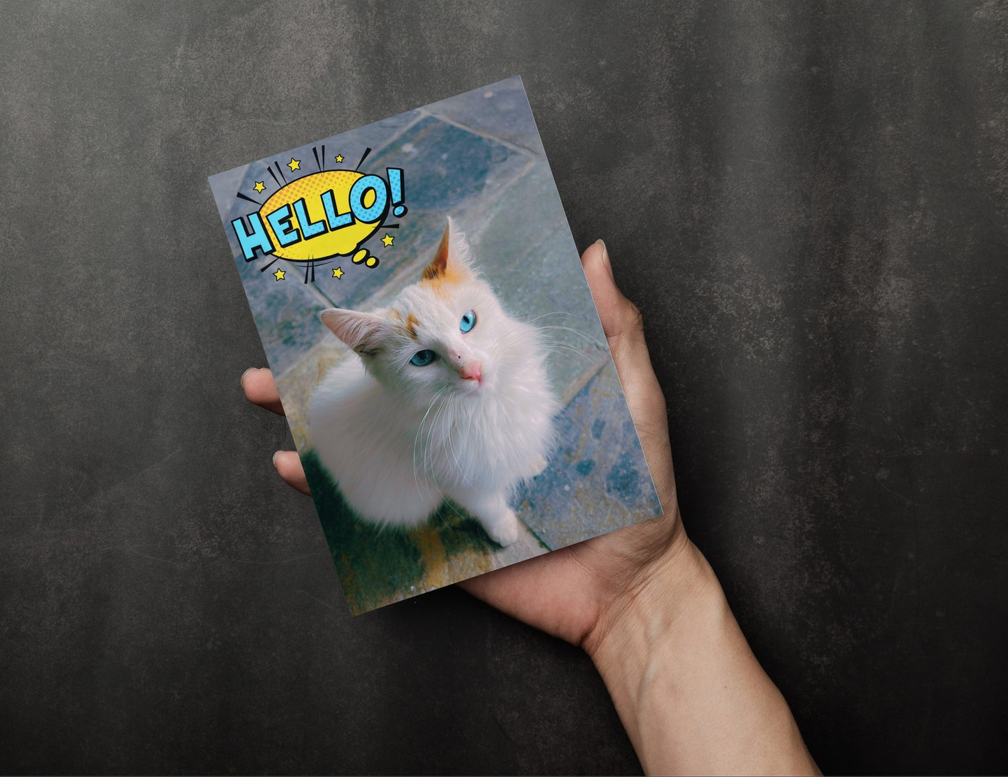 Hey, Hello, Meow, Crunch! Postcard set of 4 - Cute Cat Postcards
