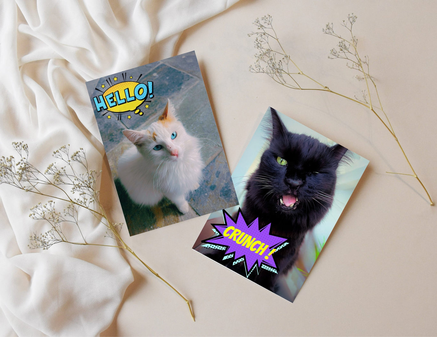 Hey, Hello, Meow, Crunch! Postcard set of 4 - Cute Cat Postcards