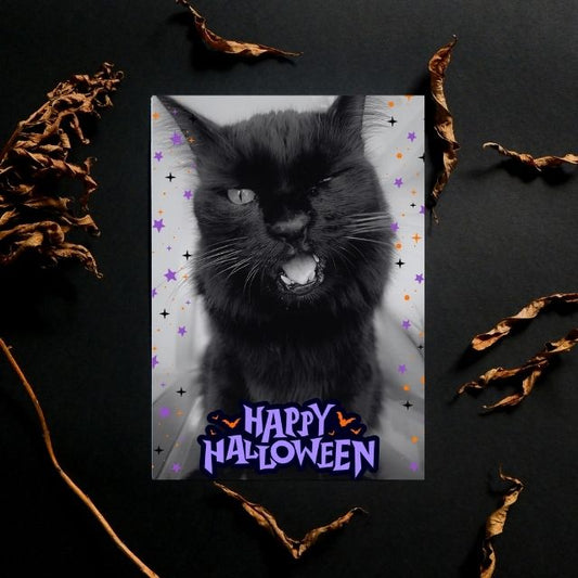 Halloween Hugo Postcards, set of2
