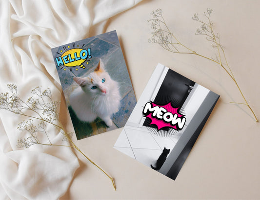 Hey, Hello, Meow, Crunch! Postcard set of 4 - Cute Cat Postcards