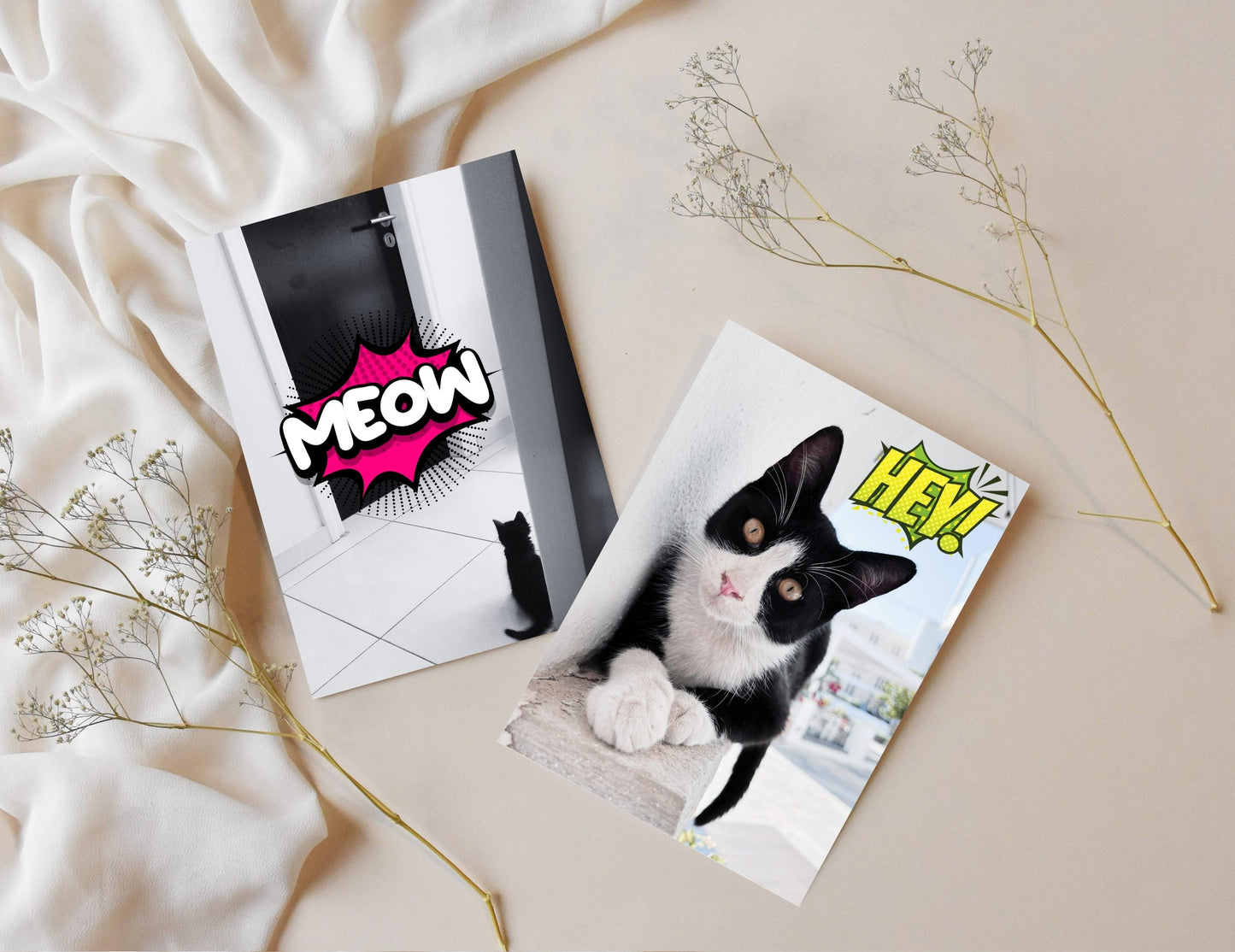 Hey, Hello, Meow, Crunch! Postcard set of 4 - Cute Cat Postcards