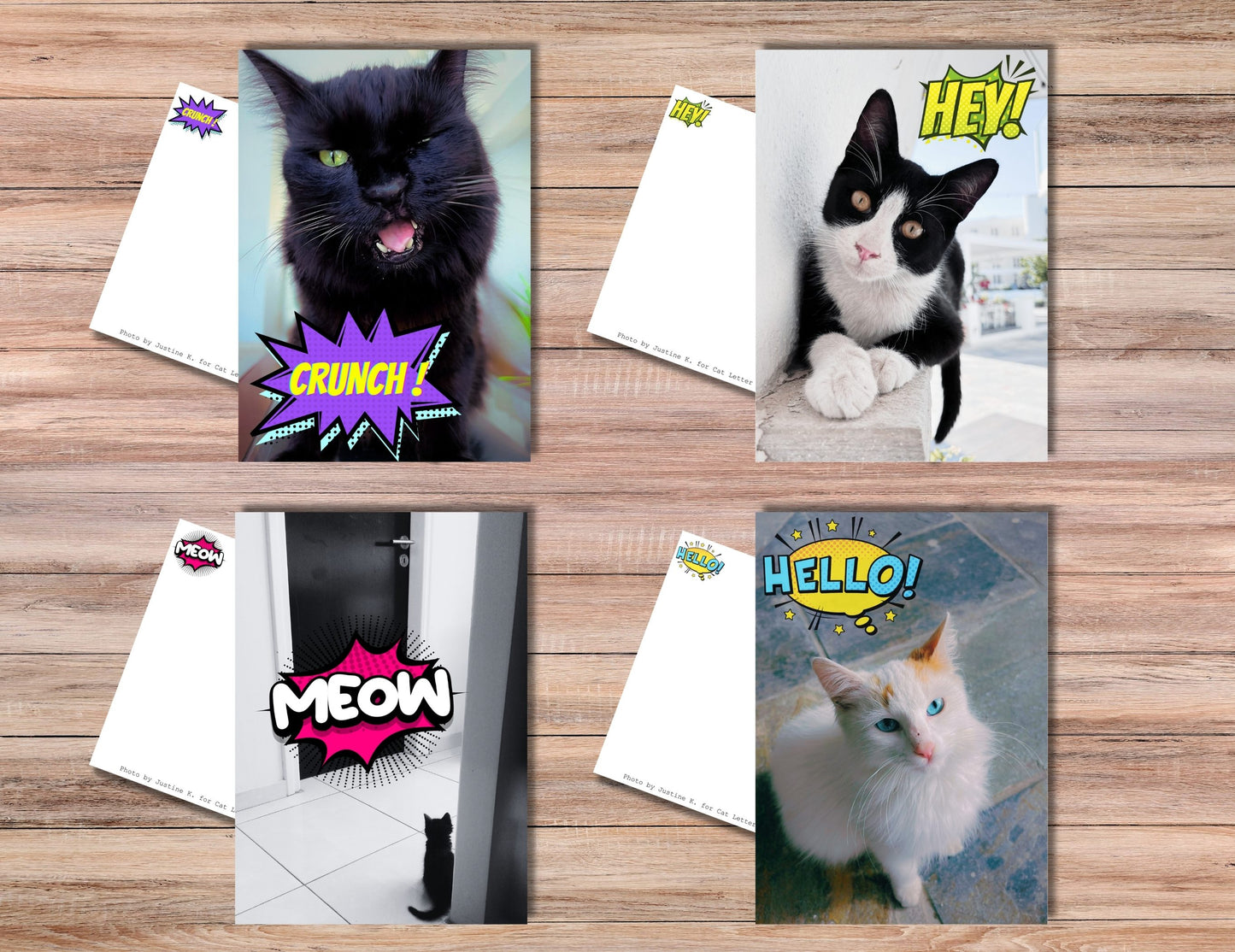 Hey, Hello, Meow, Crunch! Postcard set of 4 - Cute Cat Postcards