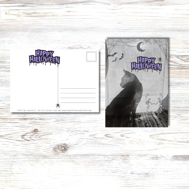 Halloween Hermiona Postcards, set of 2