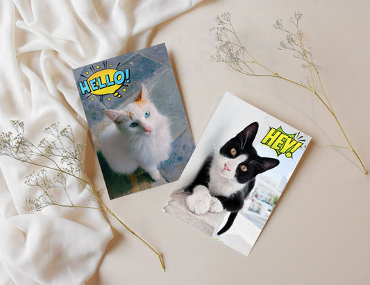 Hey, Hello, Meow, Crunch! Postcard set of 4 - Cute Cat Postcards